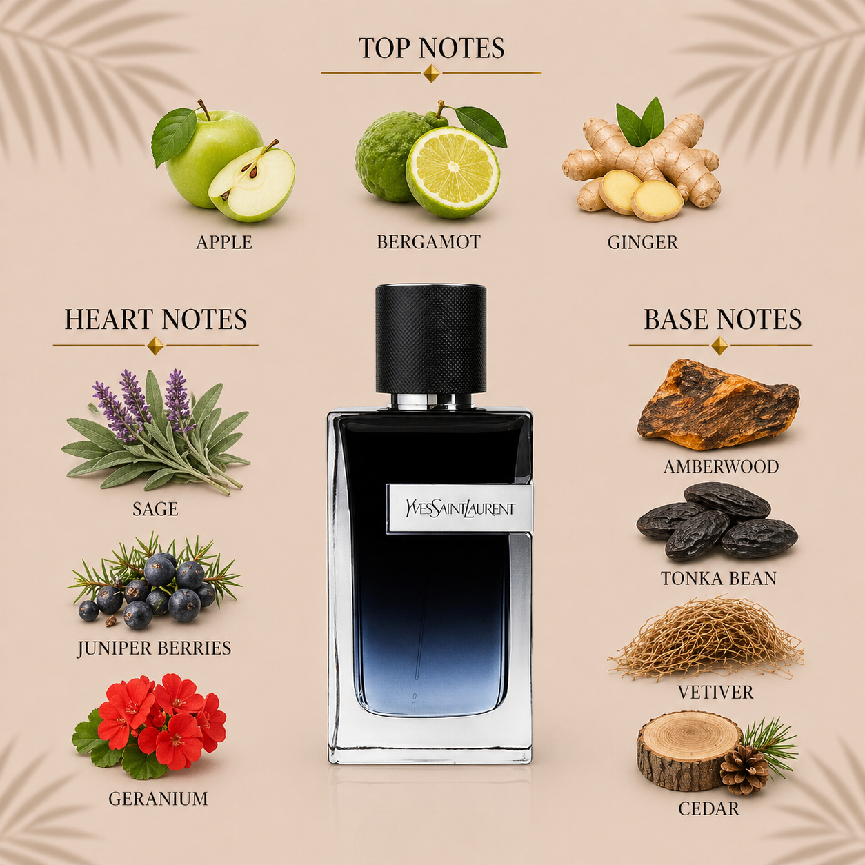 Fragrance Decants & Samples | Try Before You Buy | The Decantary