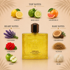 Versace Eros Energy EDP Decant Sample notes