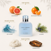Dolce & Gabbana Light Blue Eau Intense Decant Sample notes