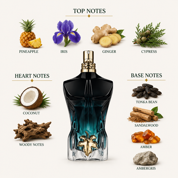 Jean Paul Gaultier Le Beau Le Parfum Decant Sample notes